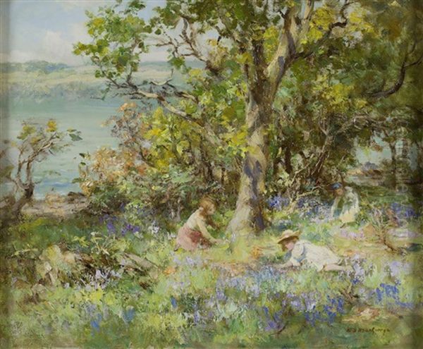 The Bluebell Wood - view 1