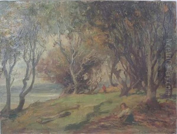 Woodland On The Solway - view 1