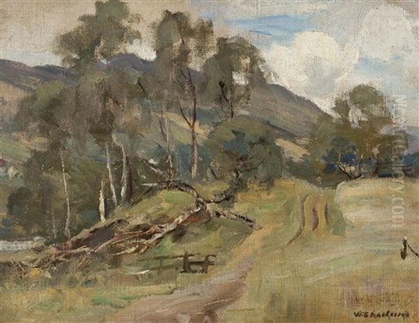 Kirkcudbright Landscape - view 1