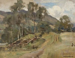 Kirkcudbright Landscape