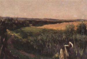 Harvest Landscape Harvest Landscape