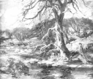 Sheep By A Brook by William Stewart MacGeorge
