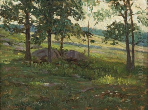 Wooded Landscape - view 1