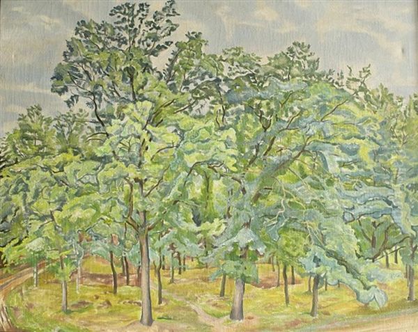 Forest Footpath - view 1