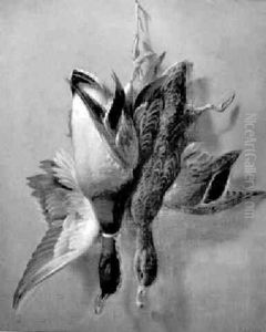 Trompe L'oeil Of Game
