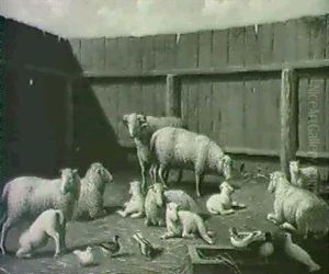Farmyard Farmyard