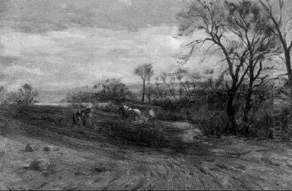 Field Work - view 1