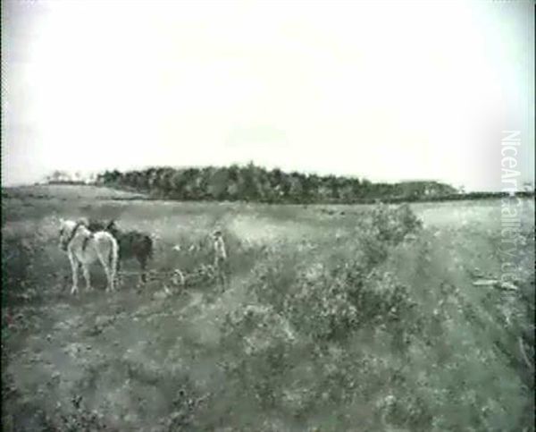Seed Drilling In A Landscape - view 1