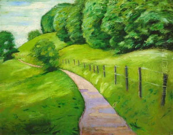 Weg Am Waldesrand (tegernsee) - view 1