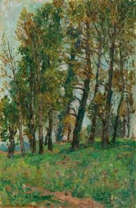 Light Wood
