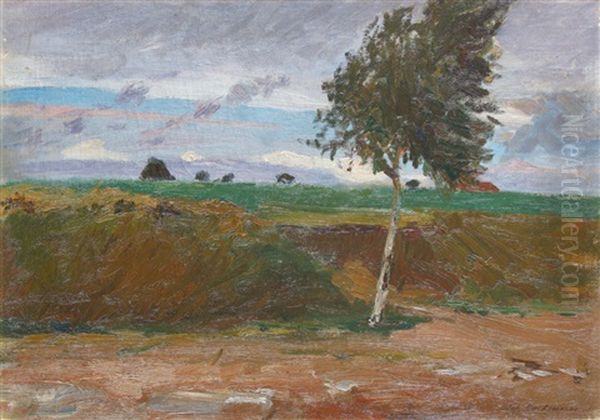 Im Moor - view 1