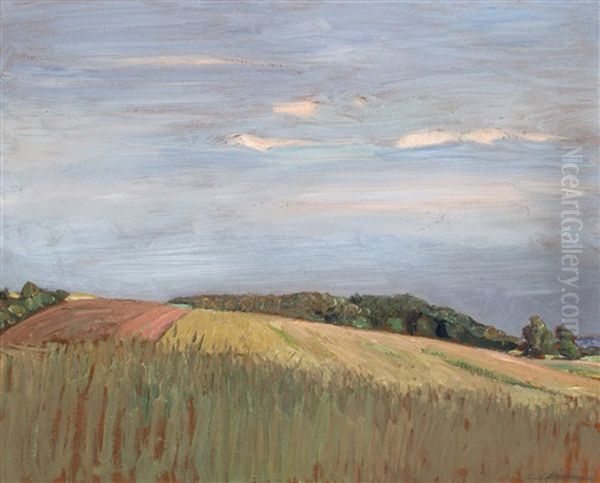 Felder Am Weyerberg - view 1