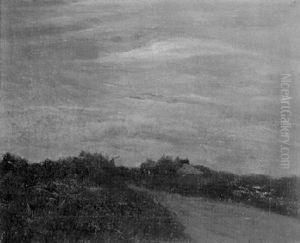 Abenddammerung Im Moor