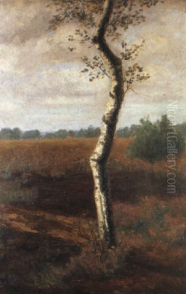 Birke Vor Herbstlich Gef,rbter Moorlandschaft - view 1