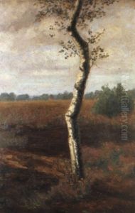 Birke Vor Herbstlich Gef,rbter Moorlandschaft
