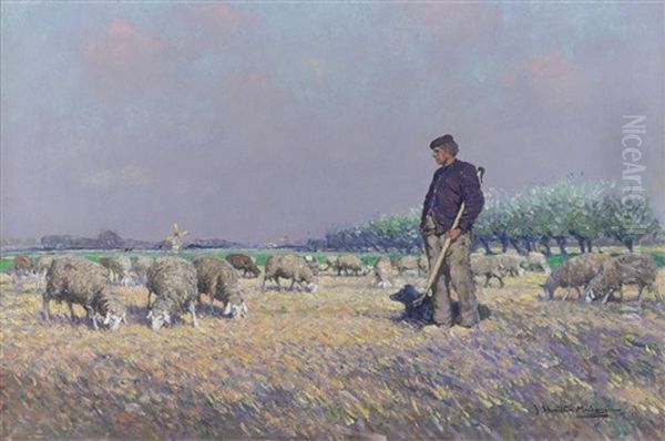 Dutch Shepard With His Flock - view 1