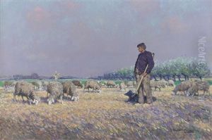 Dutch Shepard With His Flock