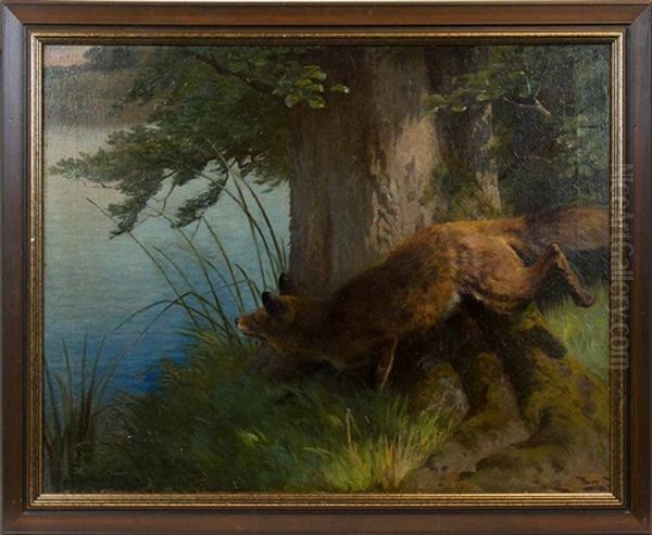 Fox On The Prowl - view 1