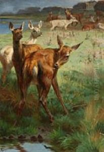 A Flock Of Fallow Deer At Eremitagesletten, Denmark by Adolf Heinrich Mackeprang