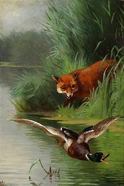 A Hunting Fox - view 1