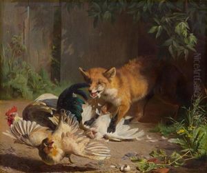 Federvieh Vom Fuchs Erwischt