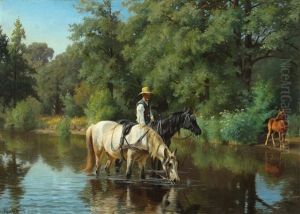 The Horses Watered A Warm Summer Day In The Woods