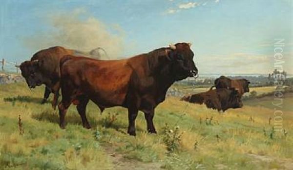 Bulls In The Field - view 1