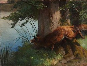 A Fox In A Forest