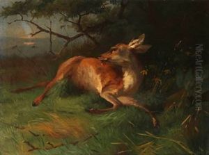 A Shot Deer A Shot Deer