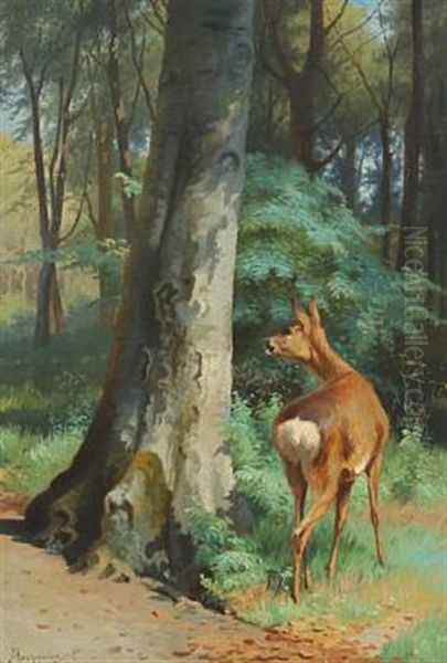 A Watchful Deer At The Edge Of The Forest - view 1