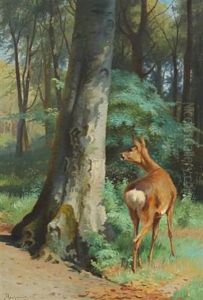 A Watchful Deer At The Edge Of The Forest