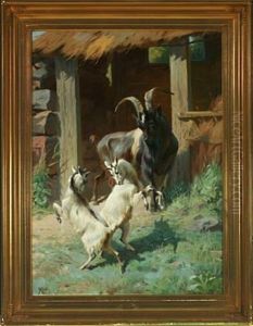 Goat Watching Two Kids Playing Goat Watching Two Kids Playing
