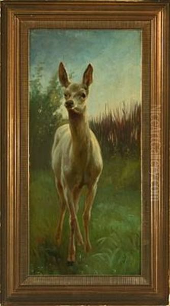 White Deer - view 1