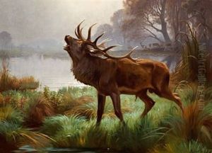A Roaring Stag Standing By A Lake