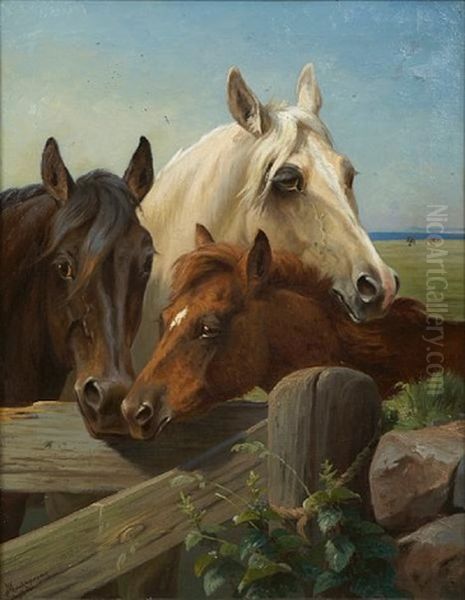 Horses In A Corral - view 1