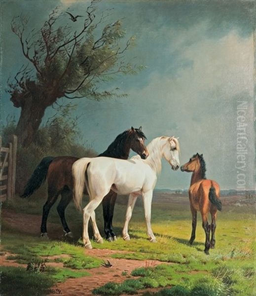 A Horse Pair And A Colt - view 1