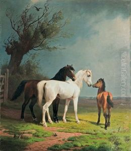 A Horse Pair And A Colt