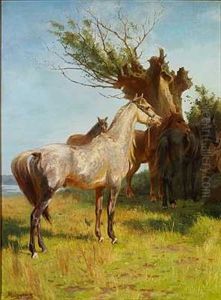 En Ridehest En Ridehest