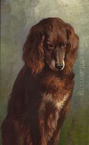 Portraet Af Jagthunden "hector"