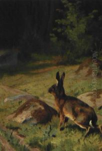 Hare  Pa En Skovsti