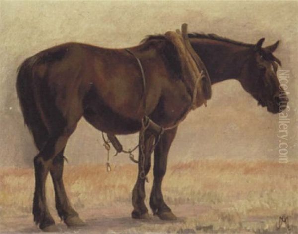 Hest - view 1