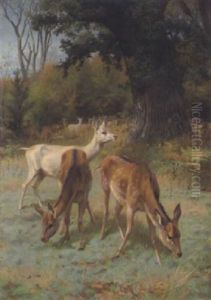 Damwild by Adolf Heinrich Mackeprang