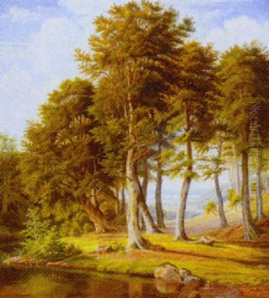 Skovparti - view 1