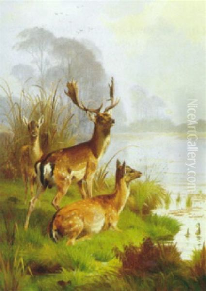 Kronvildt Ved En Sobred - view 1