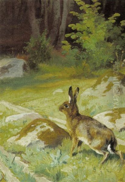 Skovparti Med Hare - view 1