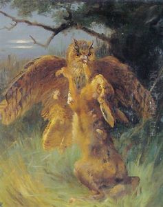 Hare Og Ugle I Kamp