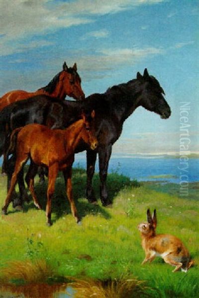 Ponies And A Hare Overlooking The Sea - view 1