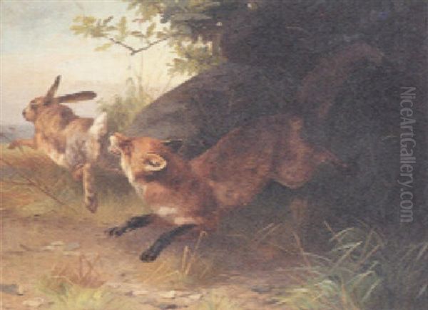 A Fox Chasing A Rabbit - view 1