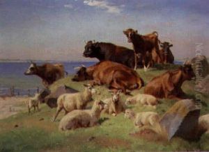 Sheep And Cattle Resting In A Coastal Landscape Sheep And Cattle Resting In A Coastal Landscape