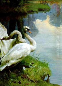 Schwane by Adolf Heinrich Mackeprang